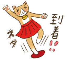 cat momo! sticker #12517754