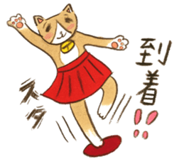 cat momo! sticker #12517754