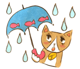 cat momo! sticker #12517757