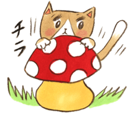 cat momo! sticker #12517758