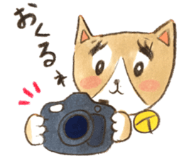 cat momo! sticker #12517767