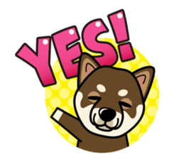 iinu - Shikoku sticker #12518320
