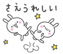 SAE's basic pack,cute rabbit sticker #12518370