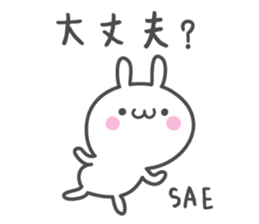 SAE's basic pack,cute rabbit sticker #12518377
