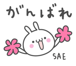 SAE's basic pack,cute rabbit sticker #12518378
