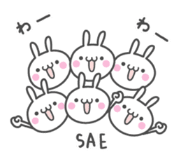 SAE's basic pack,cute rabbit sticker #12518381