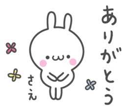 SAE's basic pack,cute rabbit sticker #12518382