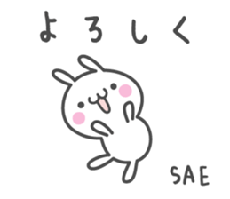 SAE's basic pack,cute rabbit sticker #12518384