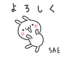 SAE's basic pack,cute rabbit sticker #12518384