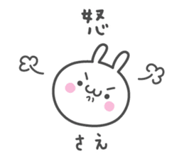 SAE's basic pack,cute rabbit sticker #12518388