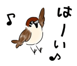 Daily life of a Sparrow sticker #12520846