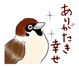 Daily life of a Sparrow sticker #12520848