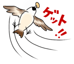 Daily life of a Sparrow sticker #12520850