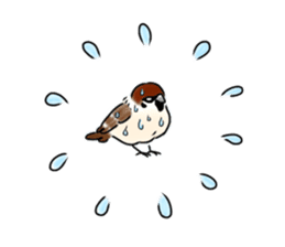 Daily life of a Sparrow sticker #12520856