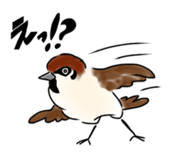 Daily life of a Sparrow sticker #12520866