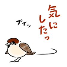 Daily life of a Sparrow sticker #12520879
