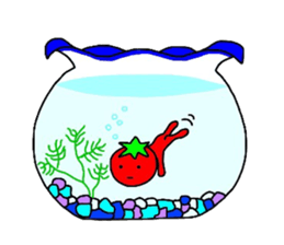 poker face tomato2 sticker #12522088