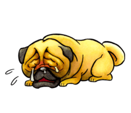 An ugly but cute dog. sticker #12522216