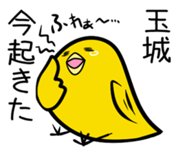 Sticker TAMAKI's or TAMASHIRO's uses sticker #12524559