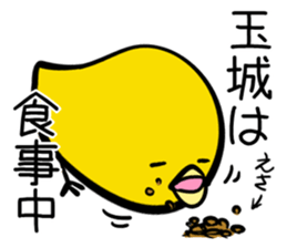 Sticker TAMAKI's or TAMASHIRO's uses sticker #12524568