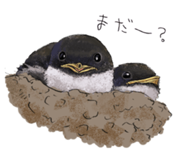 Mountain bird in summer sticker #12526686