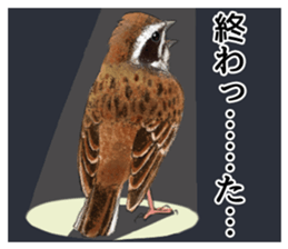 Mountain bird in summer sticker #12526687