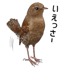 Mountain bird in summer sticker #12526689