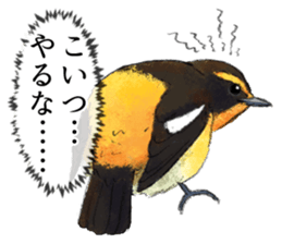 Mountain bird in summer sticker #12526690