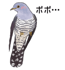 Mountain bird in summer sticker #12526695