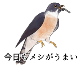 Mountain bird in summer sticker #12526696