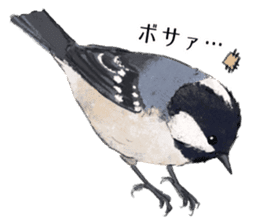 Mountain bird in summer sticker #12526698