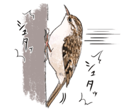 Mountain bird in summer sticker #12526701