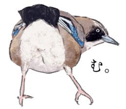Mountain bird in summer sticker #12526702