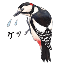 Mountain bird in summer sticker #12526704