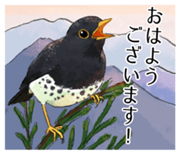 Mountain bird in summer sticker #12526705