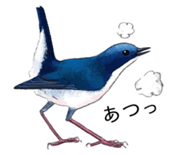 Mountain bird in summer sticker #12526708