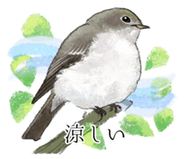 Mountain bird in summer sticker #12526709