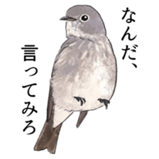Mountain bird in summer sticker #12526711