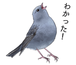 Mountain bird in summer sticker #12526713