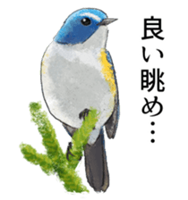 Mountain bird in summer sticker #12526714