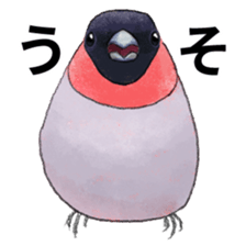 Mountain bird in summer sticker #12526715