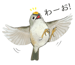 Mountain bird in summer sticker #12526718