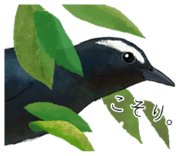 Mountain bird in summer sticker #12526719