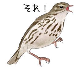 Mountain bird in summer sticker #12526720