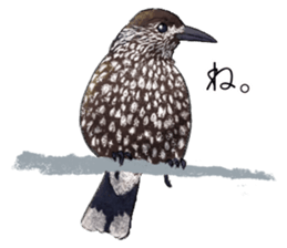 Mountain bird in summer sticker #12526722