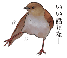 Mountain bird in summer sticker #12526723