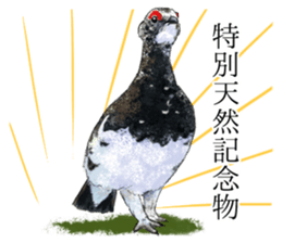 Mountain bird in summer sticker #12526725