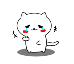 Drooping eyes cat one phrase. sticker #12528227