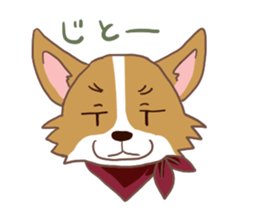 Corgi dog which stays at home sticker #12529383