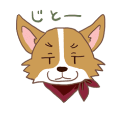 Corgi dog which stays at home sticker #12529383